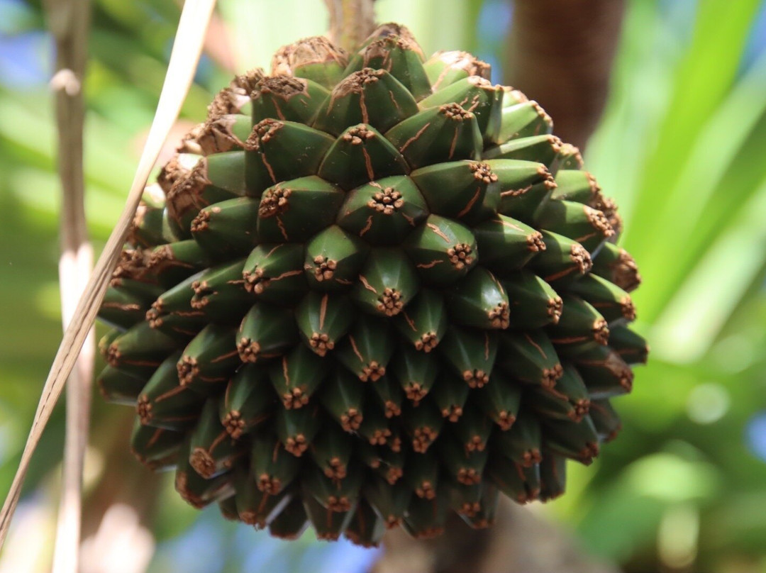 Marine Langevin-Saint-Joseph必去景点