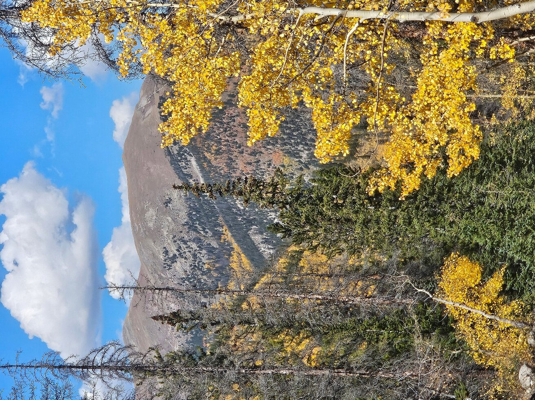 Collegiate PeaksOff-Road-布埃纳维斯塔必去景点