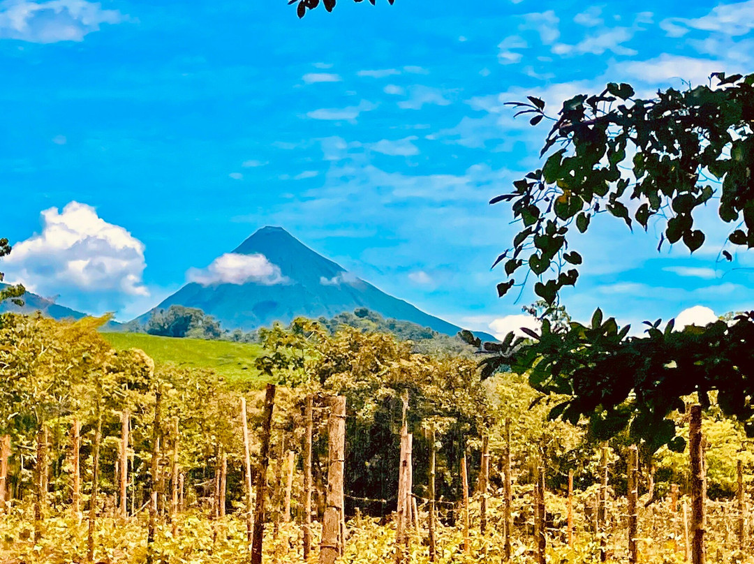 Hotel Tierra De Volcanes