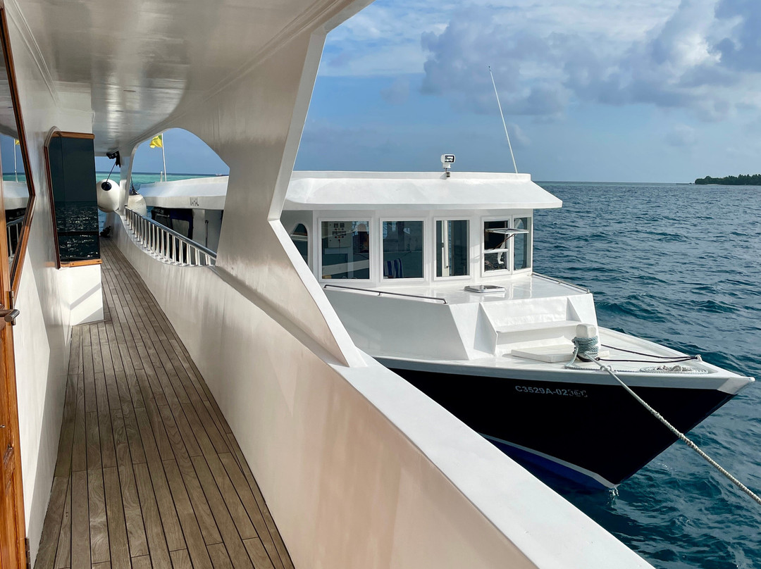 Manta Expeditions - Maldives-马累必去景点