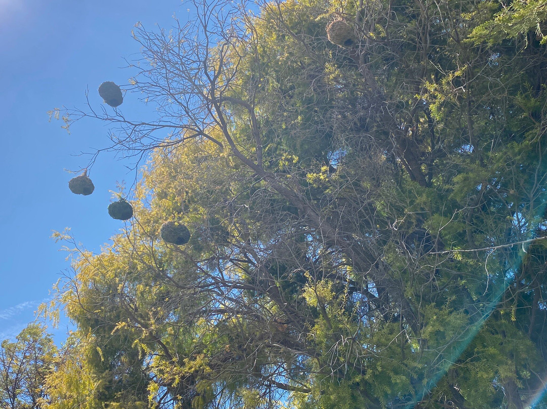 Finchley Farm Cottage主图