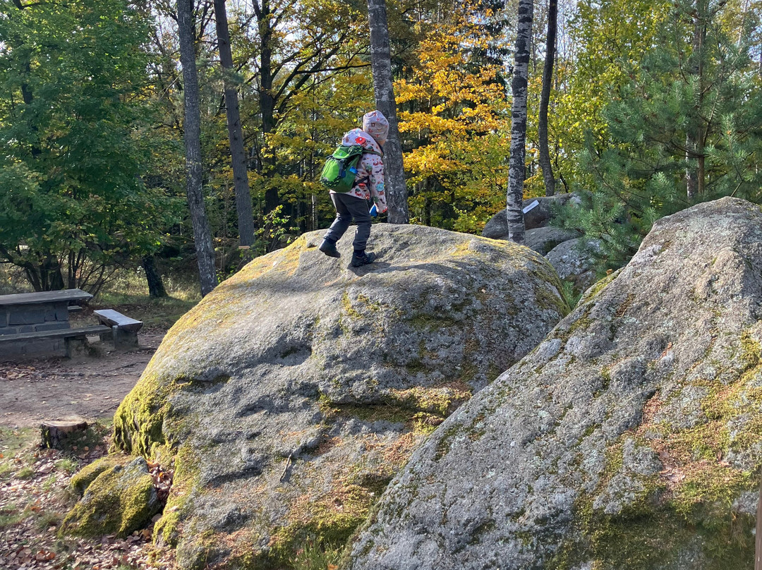 Naturpark Blockheide-Gmuend必去景点