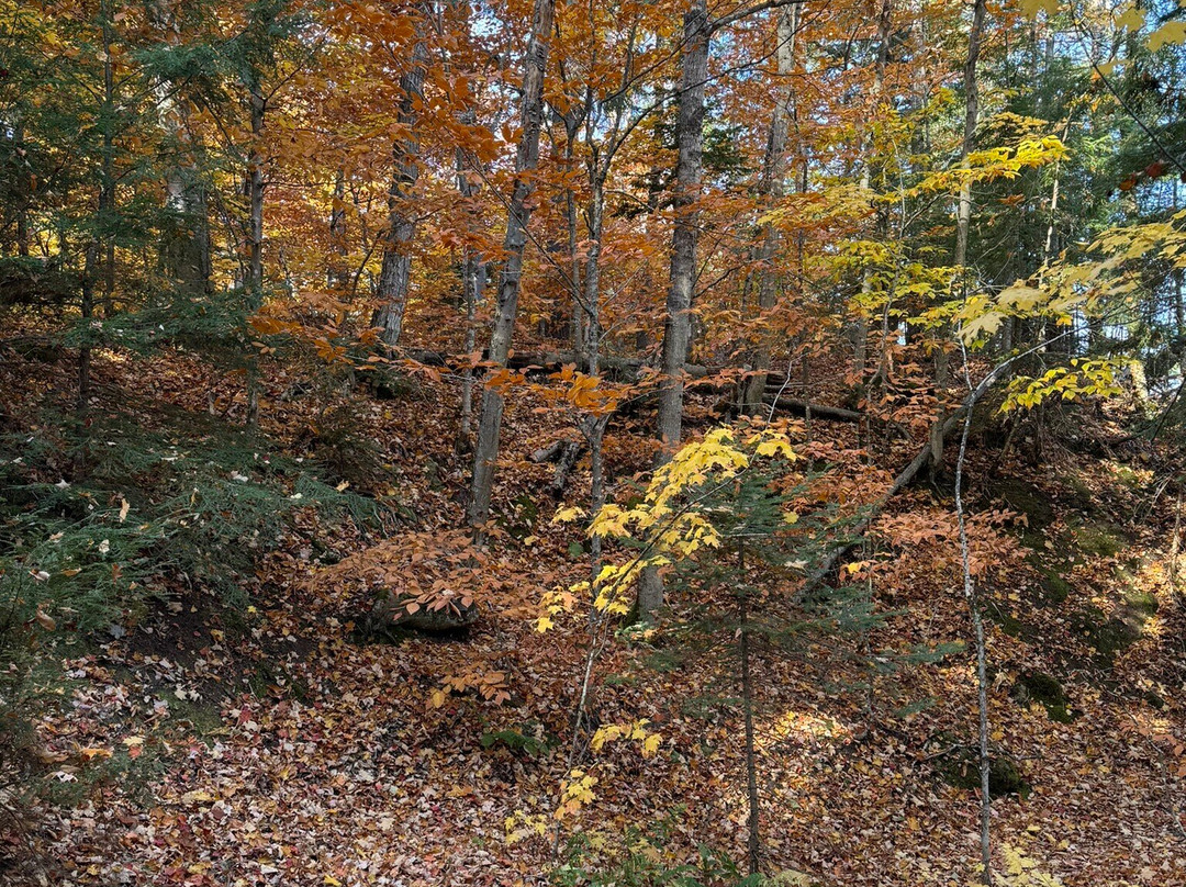 Chapel Falls-缪尼辛必去景点