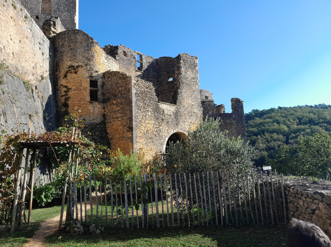 Château de Bonaguil景点图片