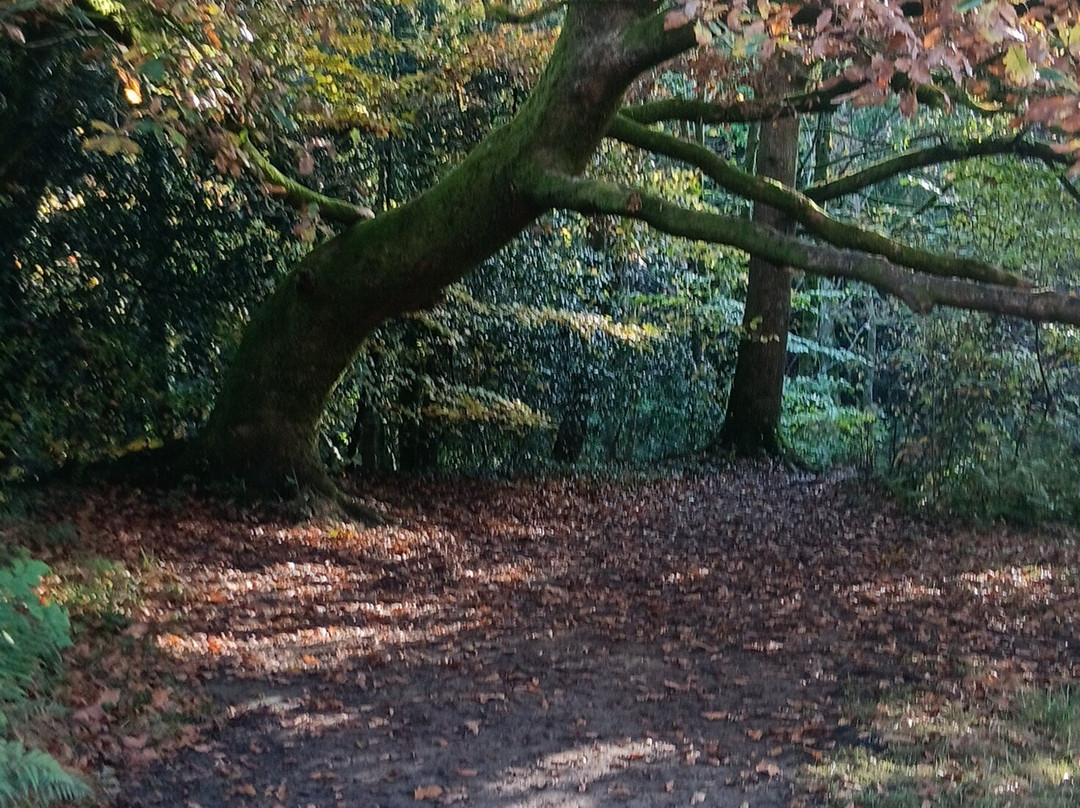 Brock Bottom-Garstang必去景点