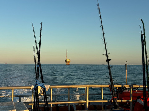 Williams Party Boats-盖维斯顿必去景点