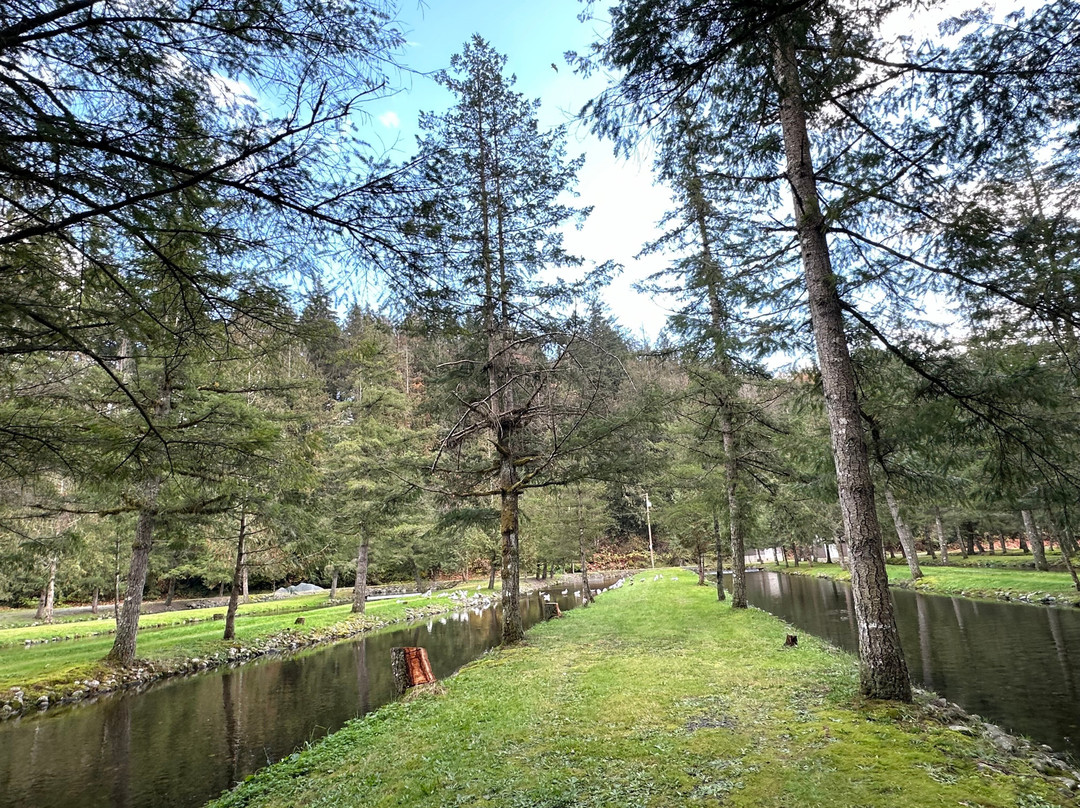 Weaver Creek Spawning Channel Recreation Site-阿加斯市必去景点