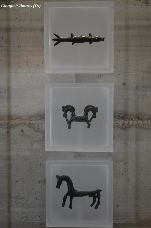 Museo Retico景点图片