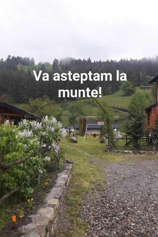 Complex de Pensiuni la Munte - Ceahlau-Grinties-Borsec