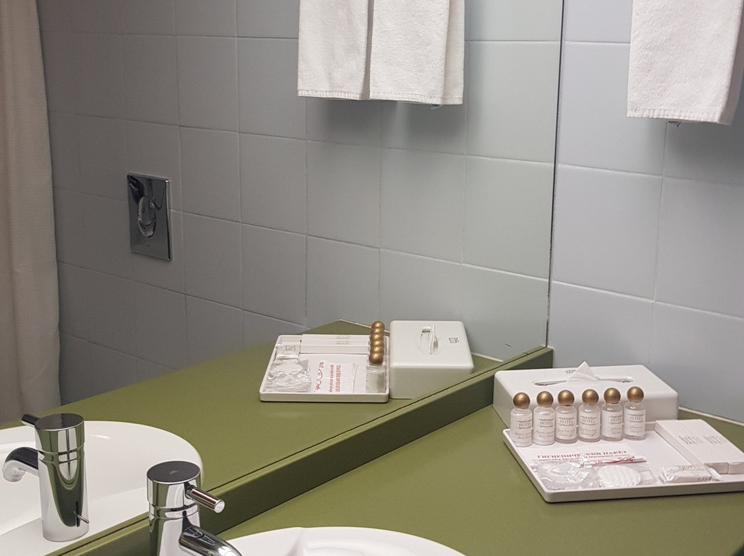 Eurasia Business Hotel主图