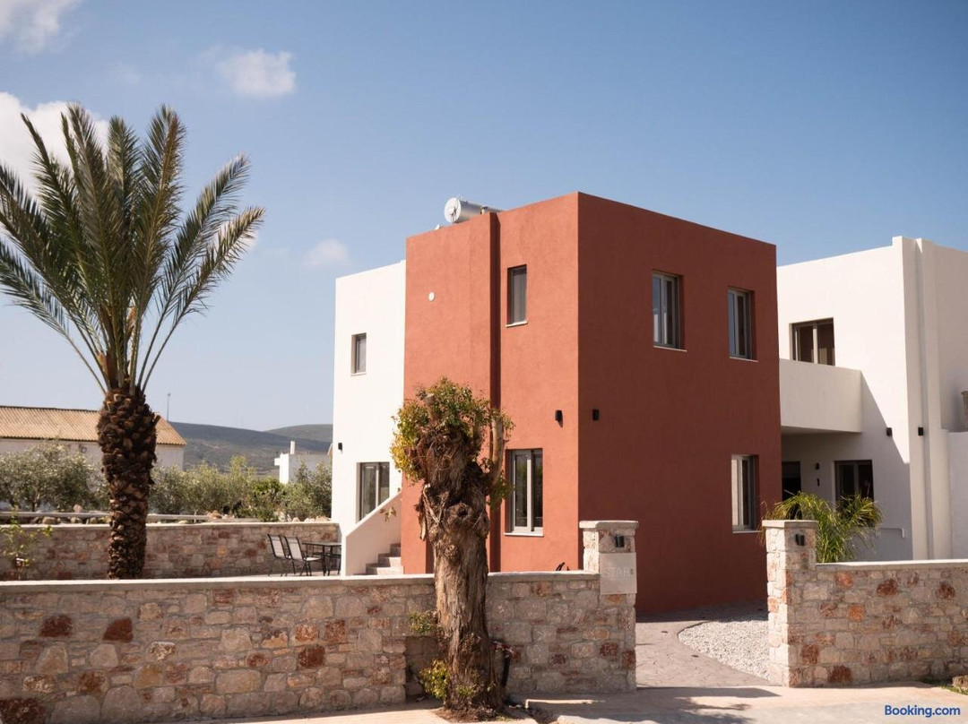 Stari: The Experience of Living