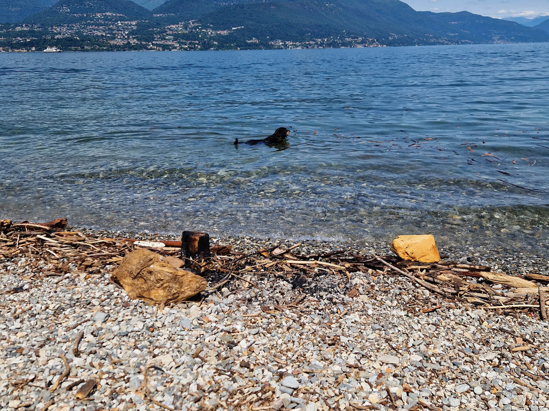 Spiaggia del Fortino景点图片