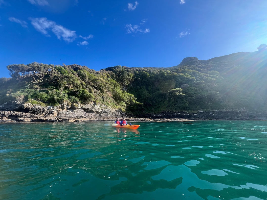 Akaroa Guided Kayak Safari景点图片
