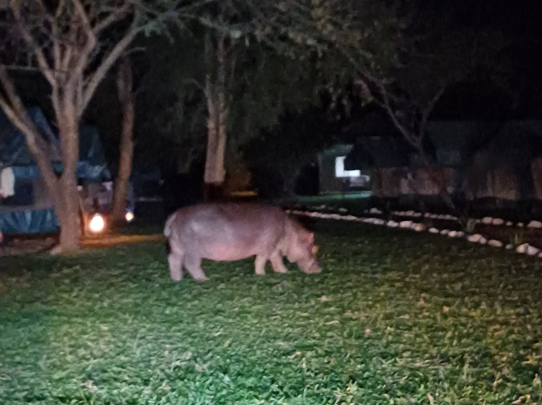 Murchison Falls-Murchison Falls National Park必去景点