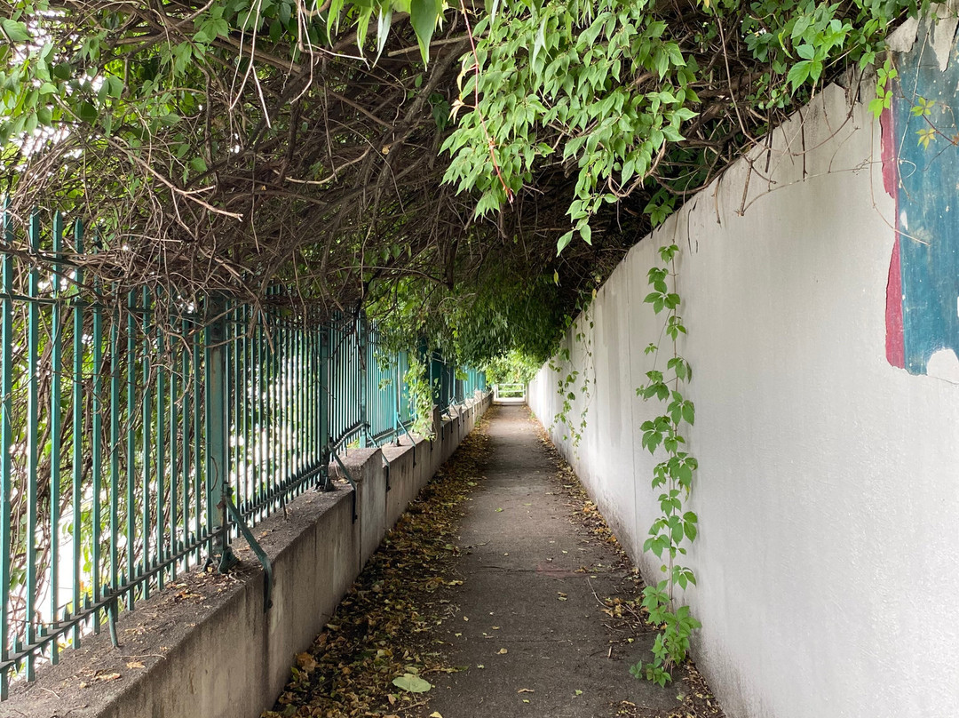 Mount Adams-辛辛那提必去景点