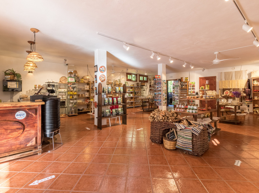 Shop Los Telares-Hermigua必去景点