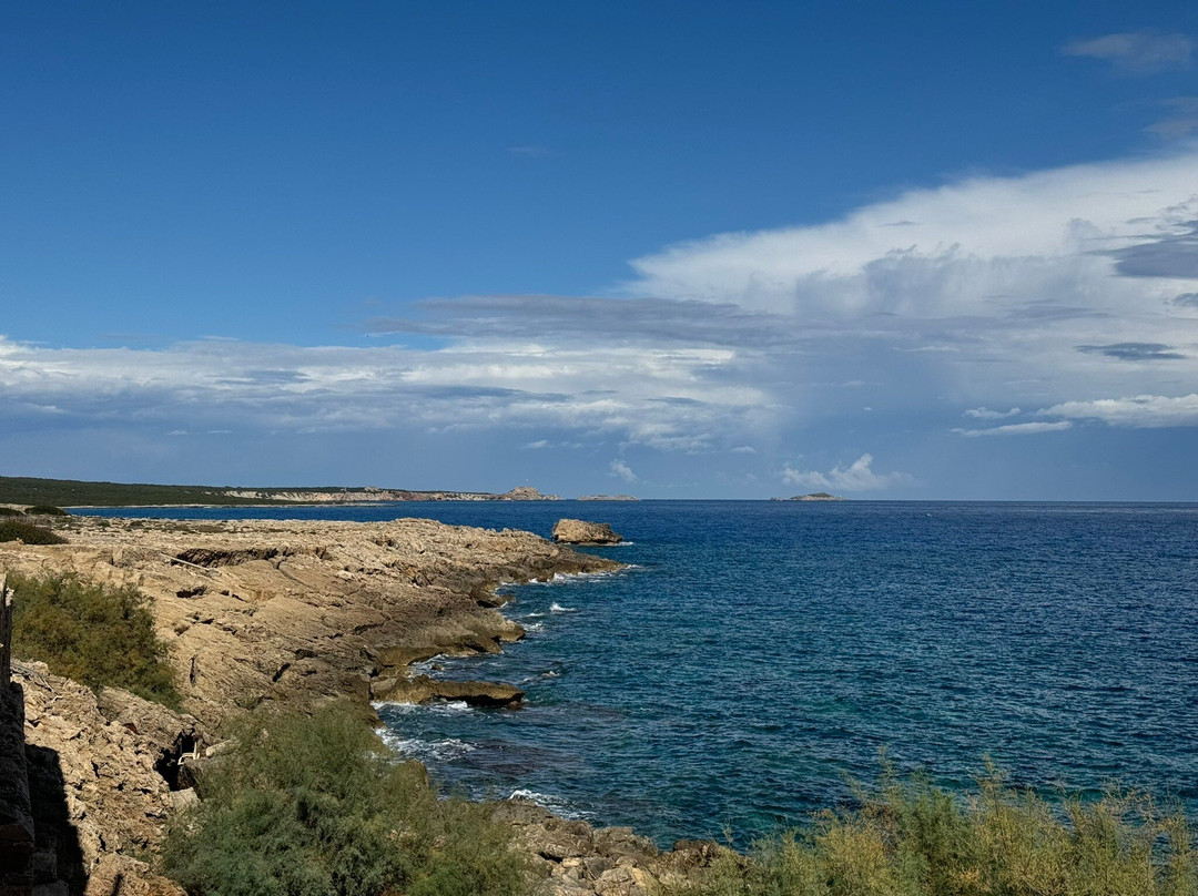 Cape Apostolos Andreas-Dipkarpaz必去景点