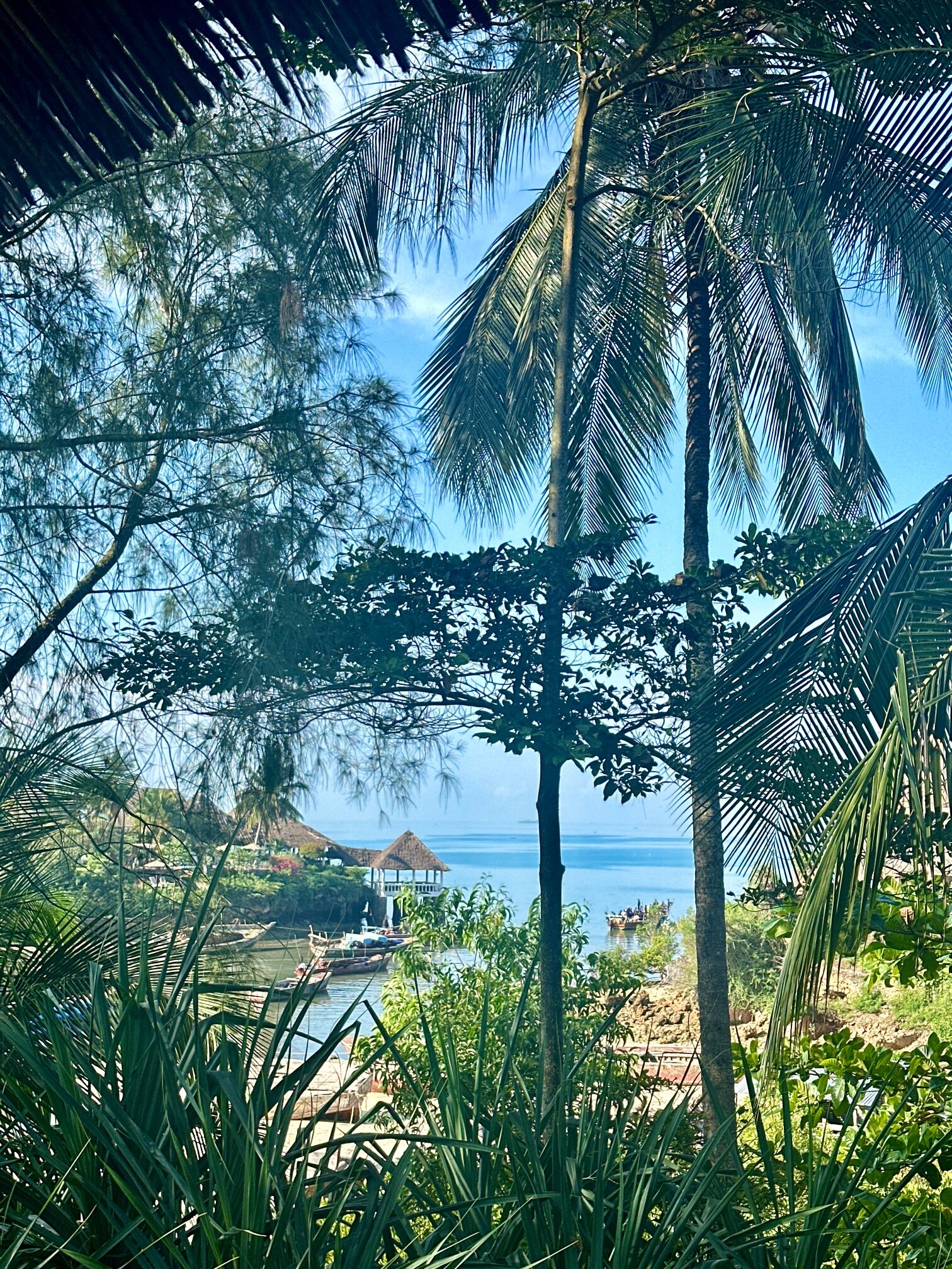 Mangrove Lodge-餐饮