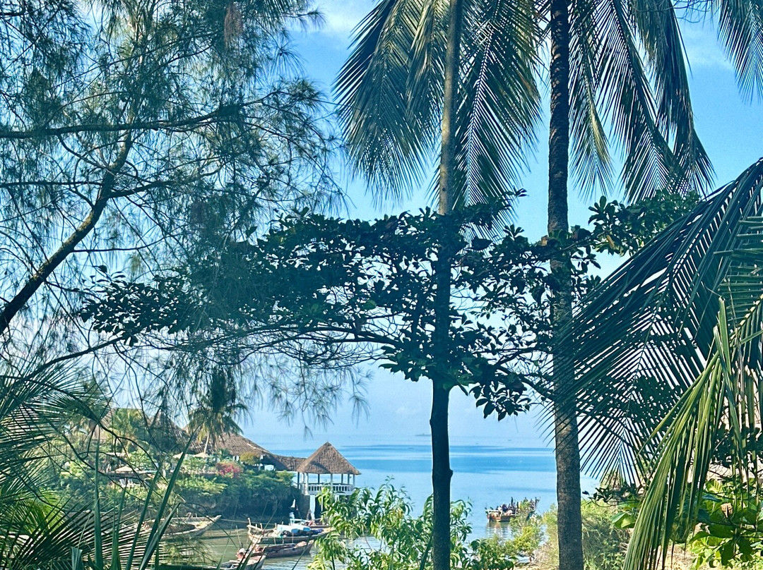 Mangrove Lodge主图