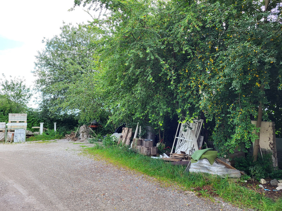 Kur- und Sporthotel Angerhof主图