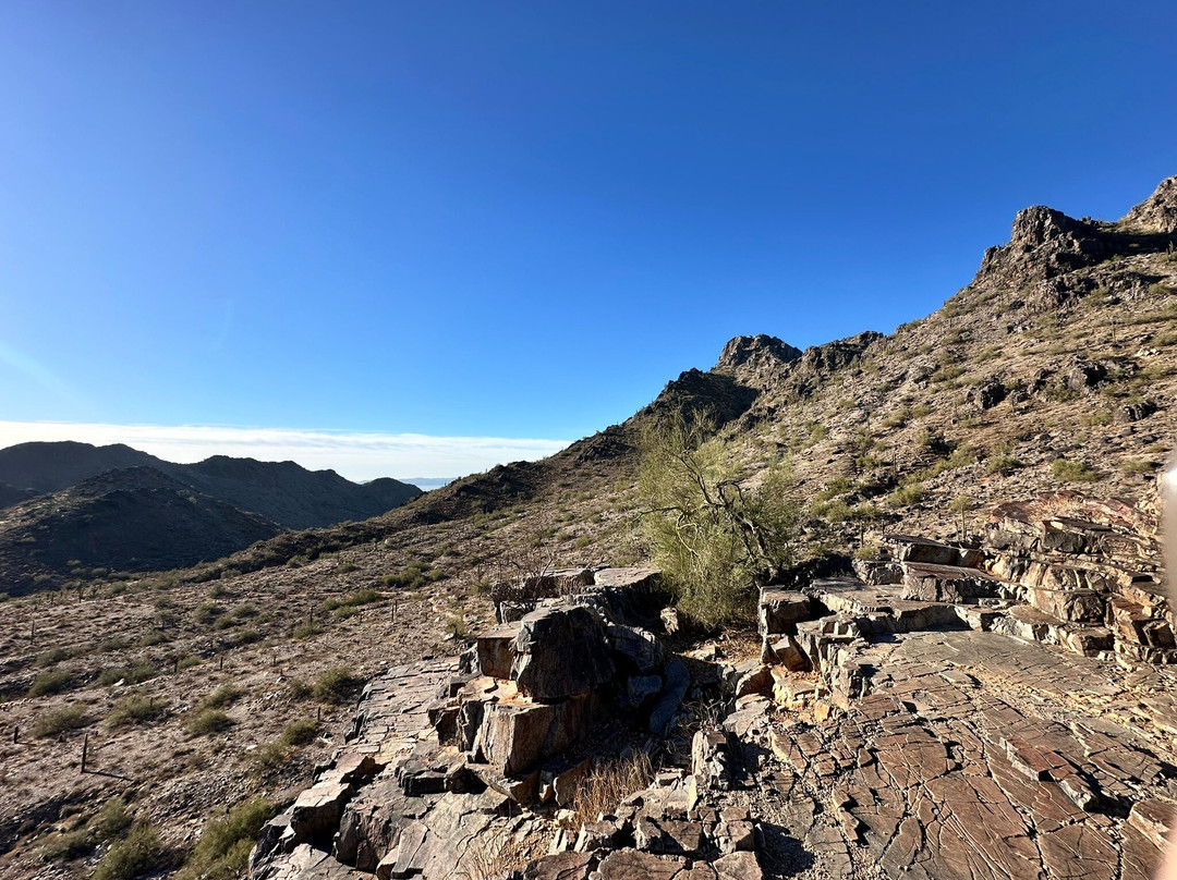 Wild Bunch Desert Guides Llc-斯科茨代尔必去景点