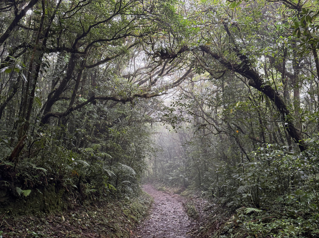 JC Nature Tour-蒙特维多云雾森林自然保护区必去景点