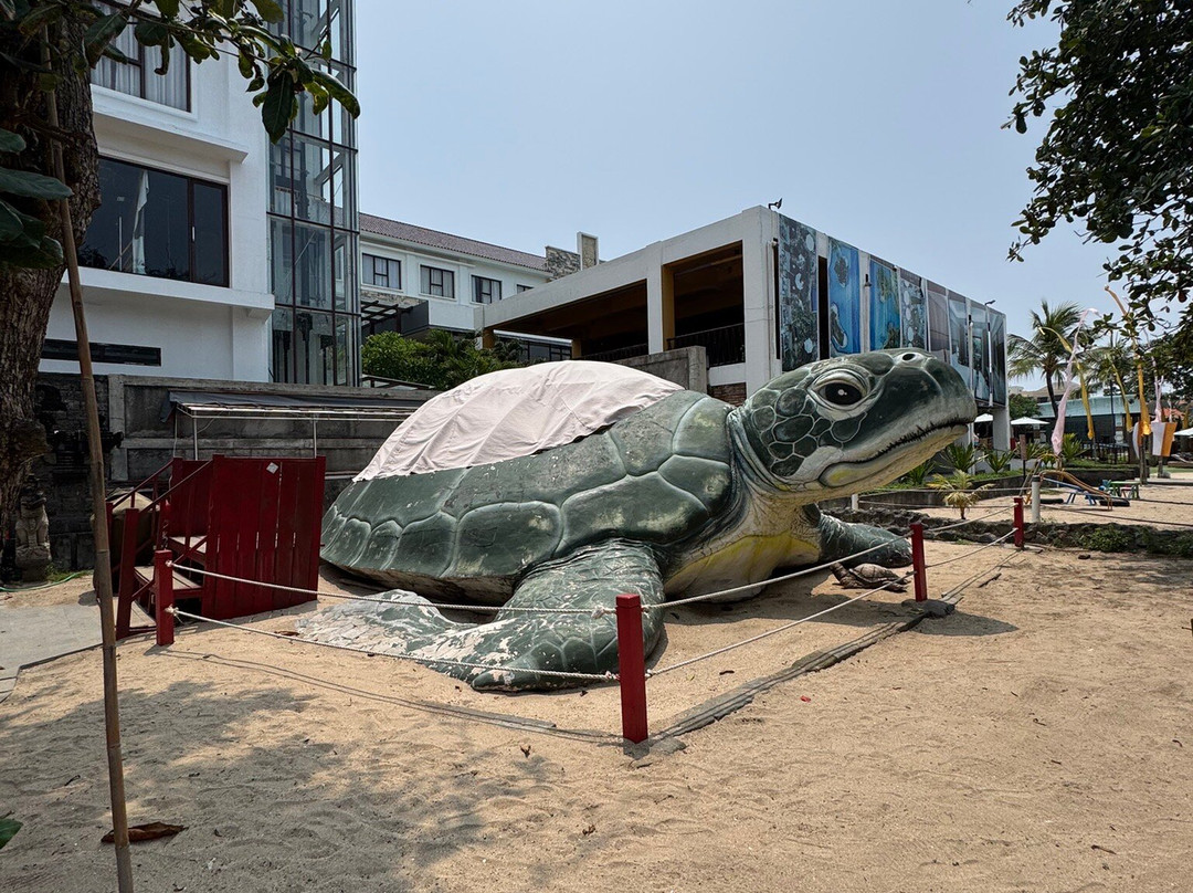 巴厘岛海龟协会-库塔必去景点