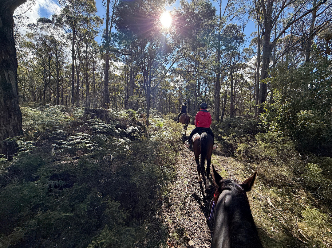 Horse Riding Tasmania景点图片