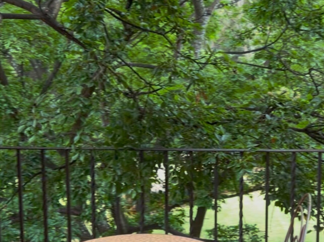 Afrique Boutique Hotel Ruimsig主图
