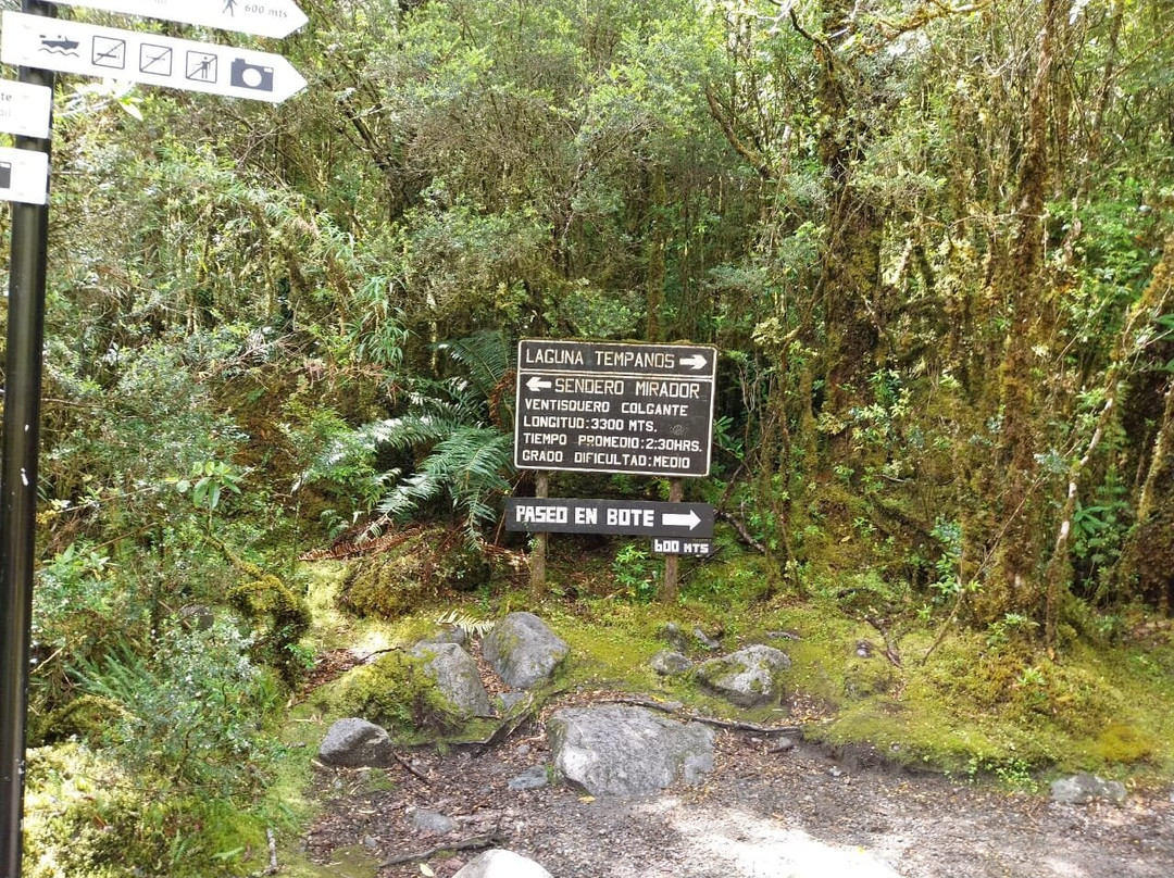 Ventisquero Colgante-Puyuhuapi必去景点