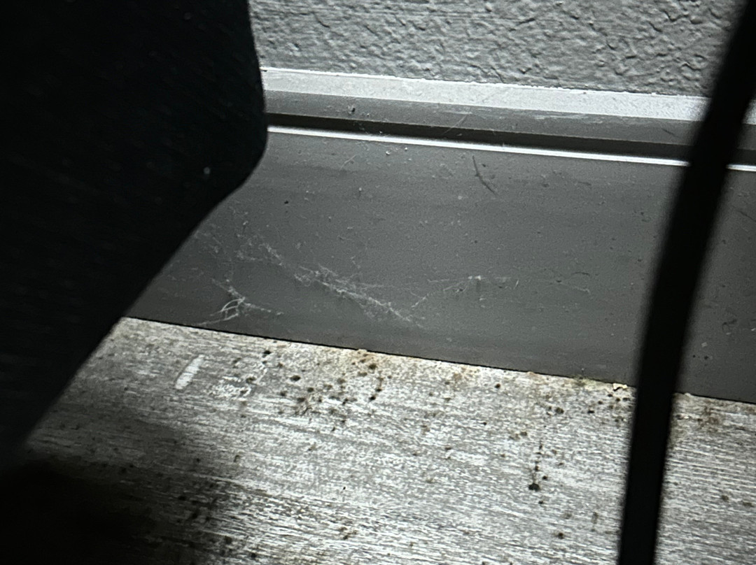 佩拉快捷假日酒店主图