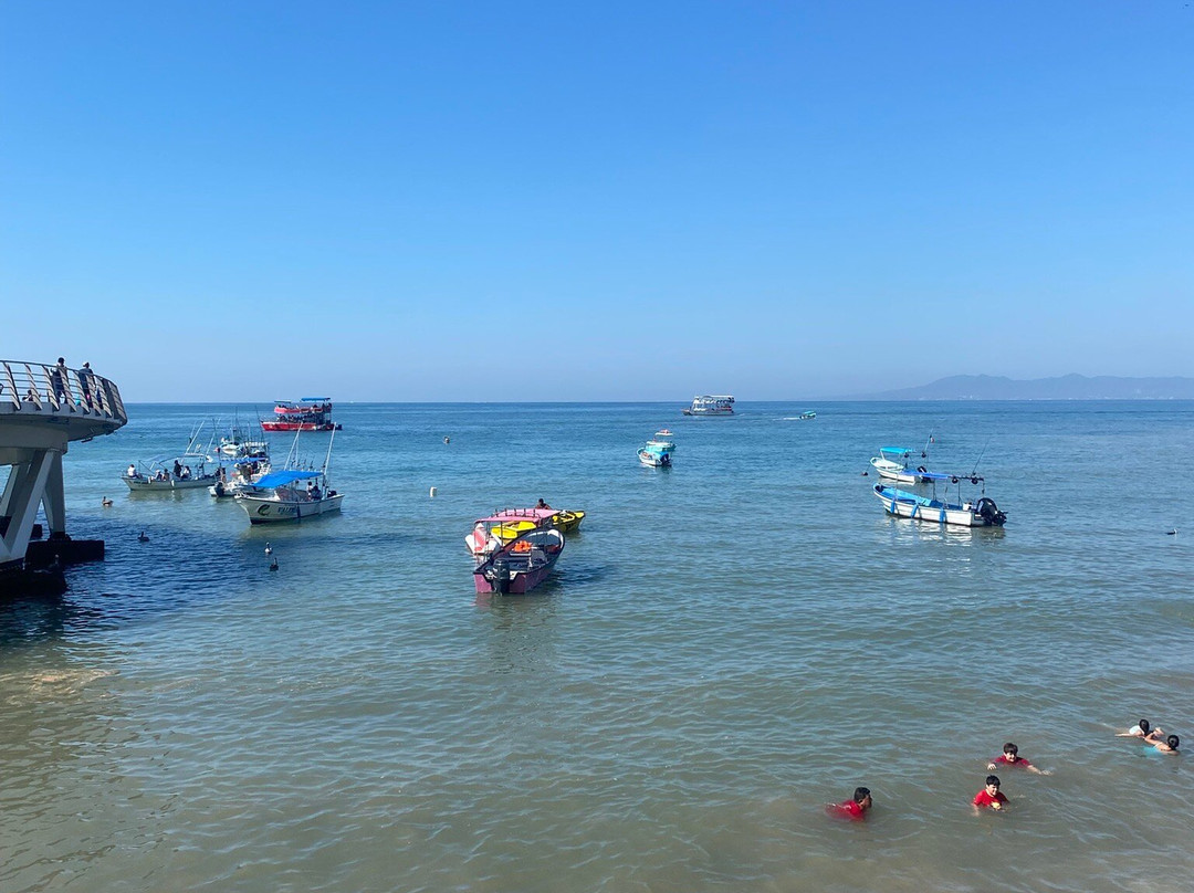 Muelle de Playa Los Muertos景点图片