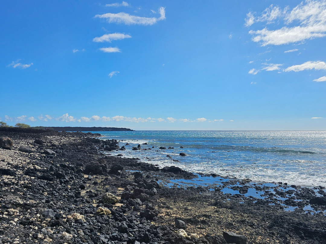 Maui Scooter Shack Snack Shack-基黑必去景点
