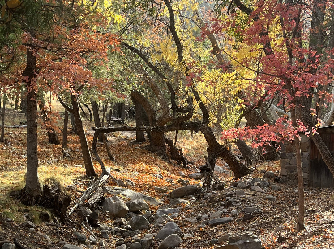 Ramsey Canyon Cabins & Bird Sanctuary主图