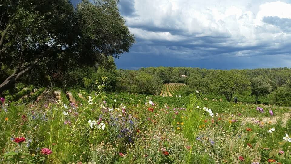 Château L'Arnaude主图