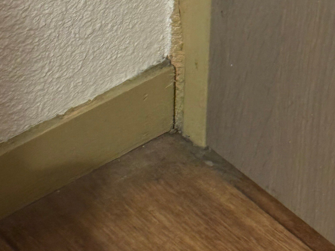 Odalys Essential Residence L'Ouillon主图