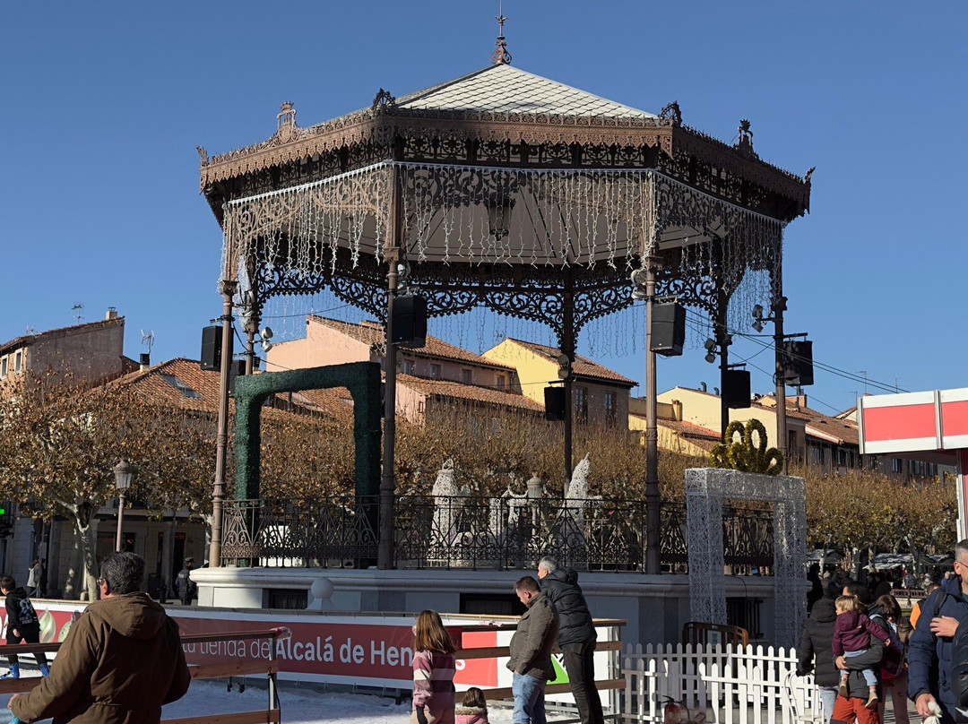 Plaza de Cervantes-阿尔卡拉-德-哈纳雷斯必去景点