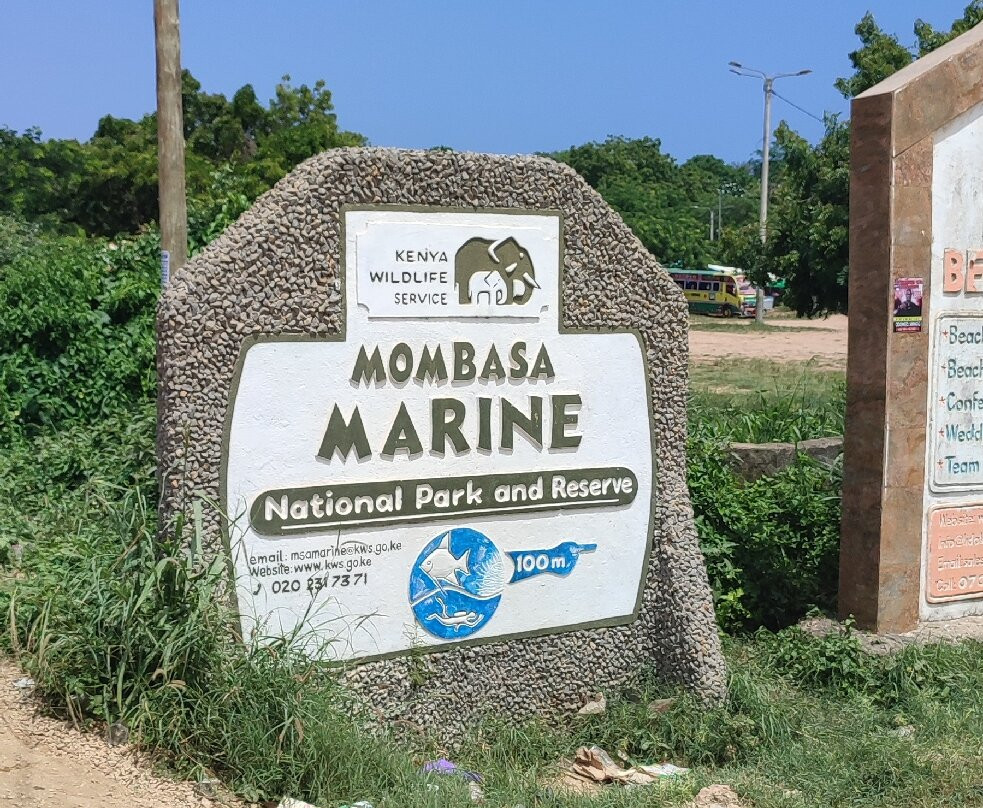 Mombasa Marine National Park-蒙巴萨必去景点
