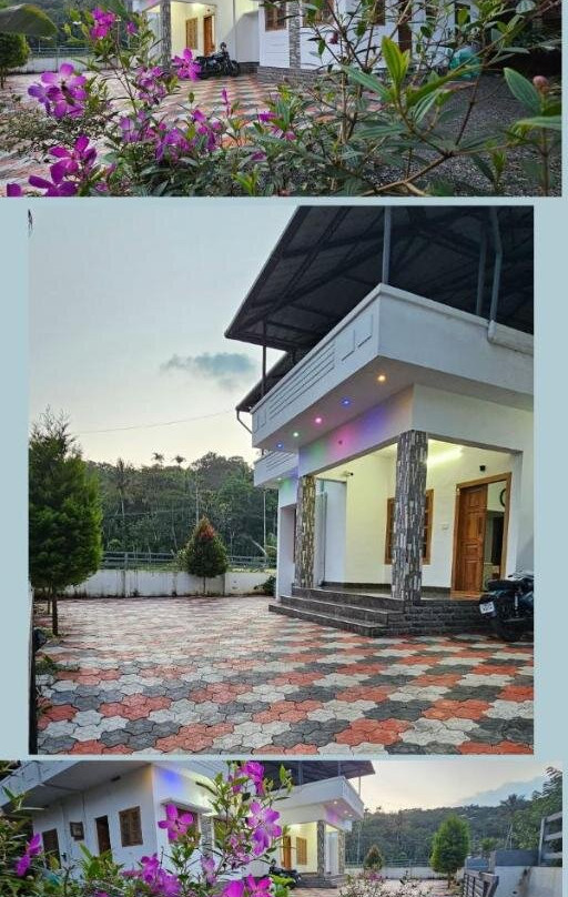 Greentree Homestay主图