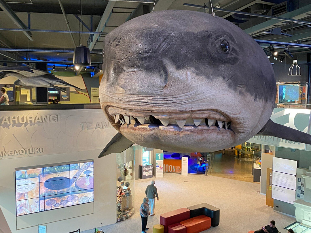 Puke Ariki-新普利默斯必去景点