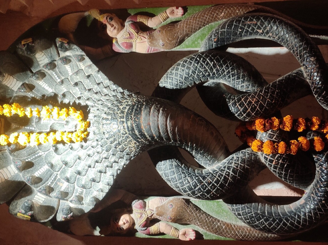 Patalpuri Temple景点图片