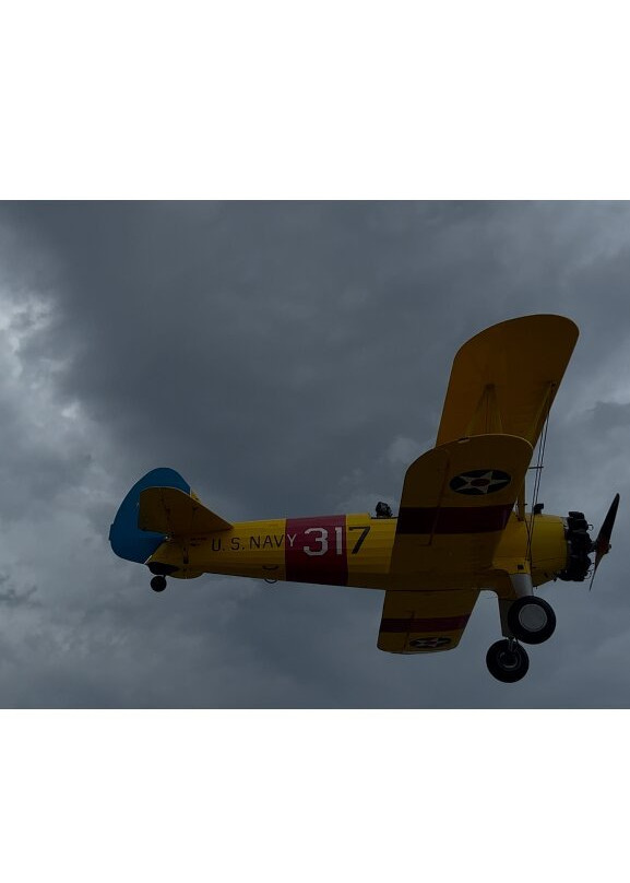 Tiger Moth World-托基必去景点