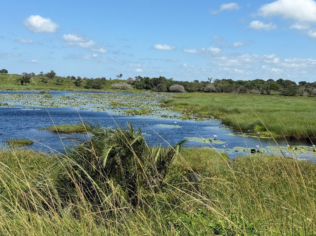 The Little Bush Baby Company-圣露西亚必去景点
