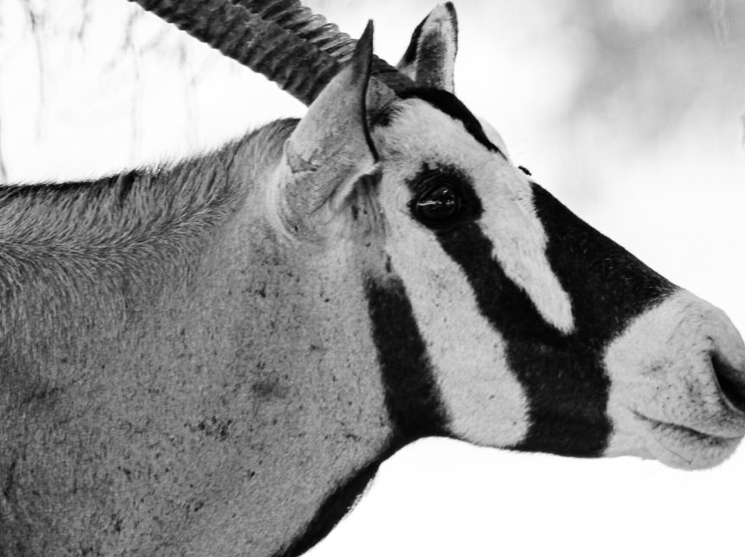 Lark Journeys-温德和克必去景点