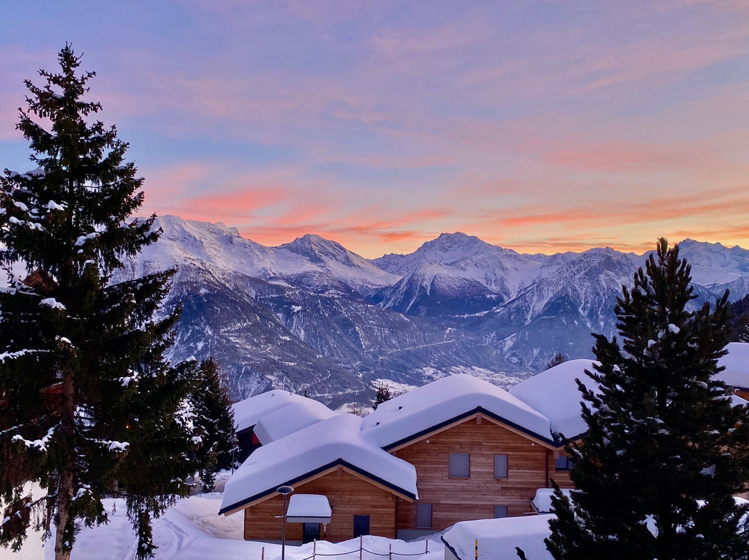 Aletsch Arena-Bettmeralp必去景点