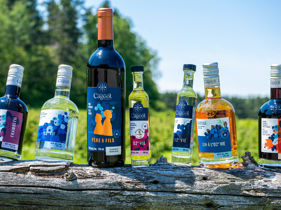 Domaine Le Cageot - Vignoble & Distillerie-Jonquiere必去景点