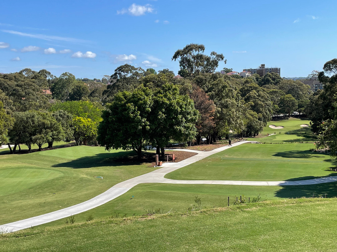Cammeray Golf景点图片