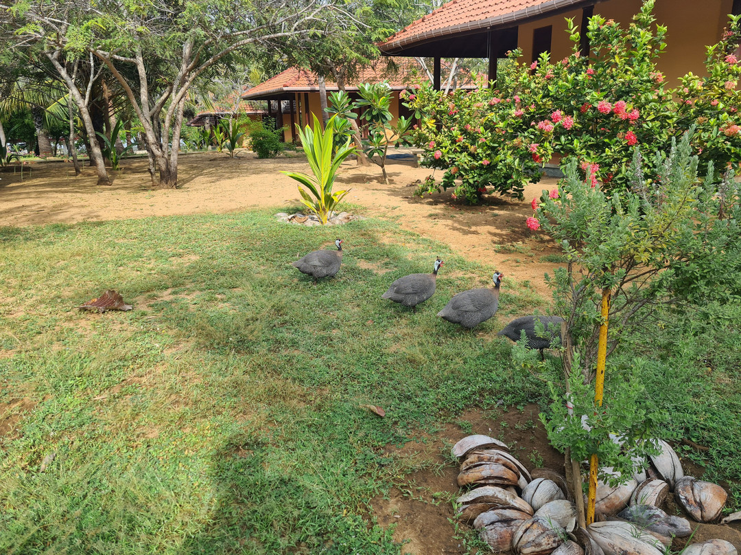 Nilaveli Ayurveda Gesundheitszentrum主图