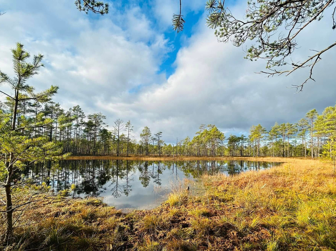 Viru Bog Trail-Kolga必去景点