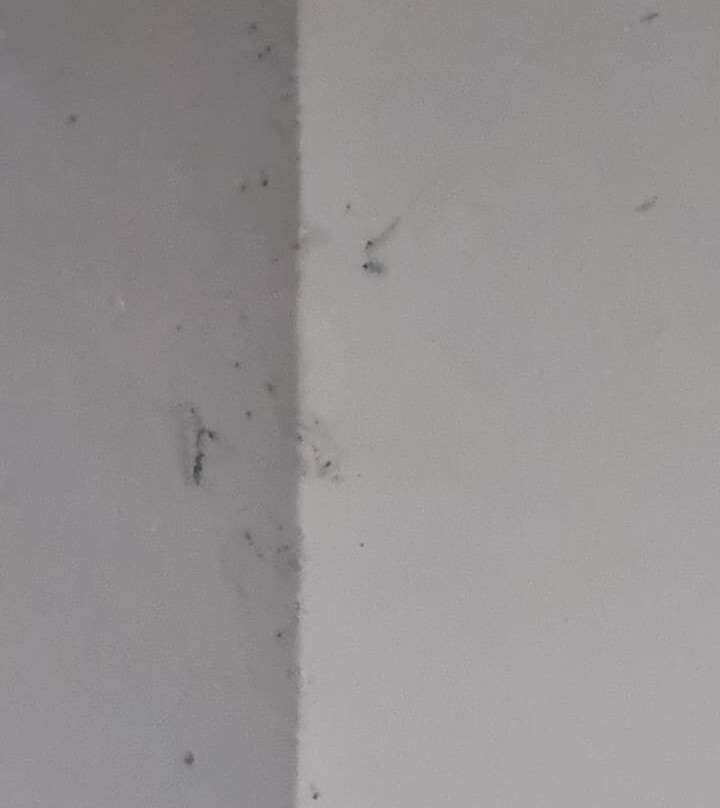 Hotel D'Anatureza主图